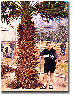 Moose holds up a palm tree....